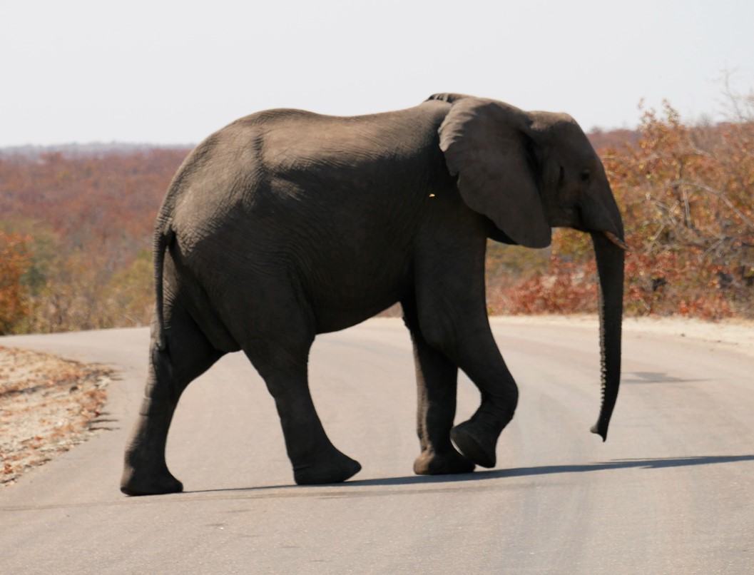 Image slider