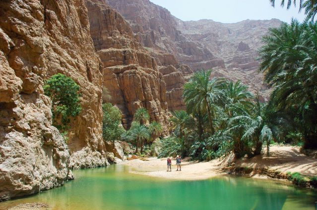 colo zèbres en Oman