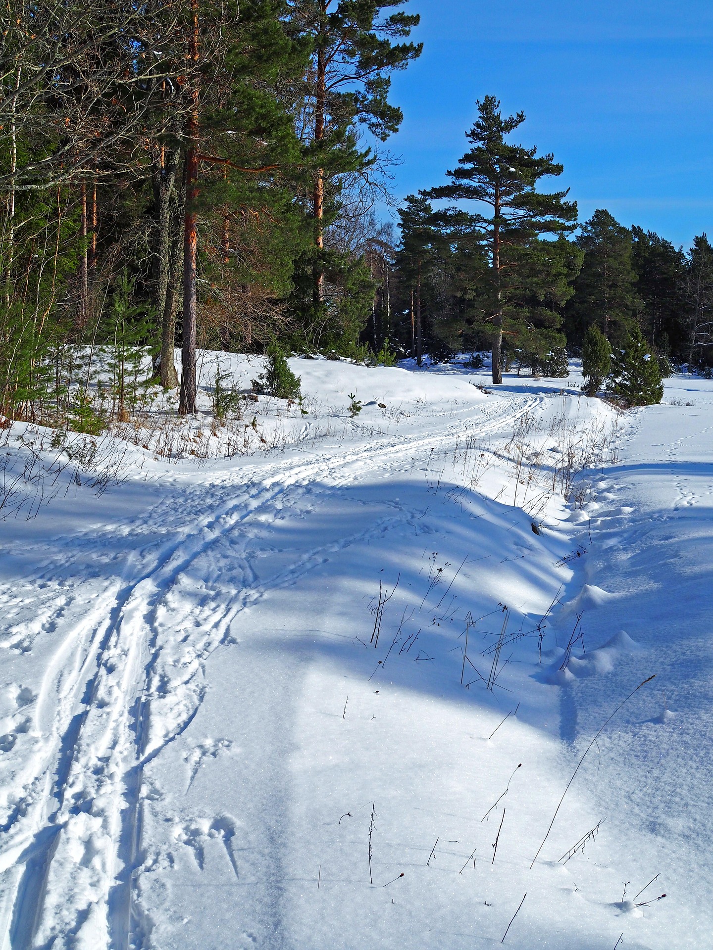 WINTER IN STOCKHOLM
