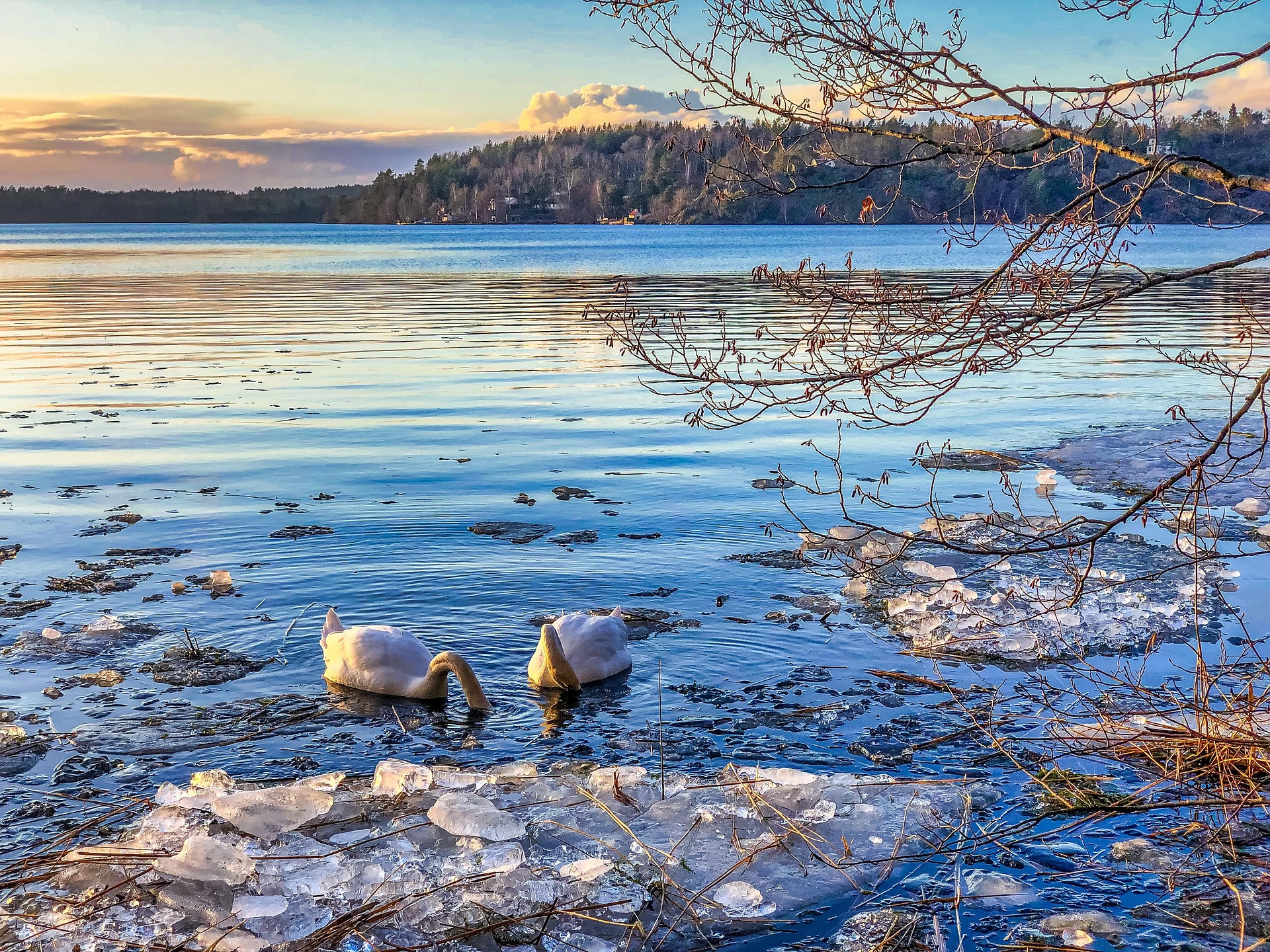 WINTER IN STOCKHOLM